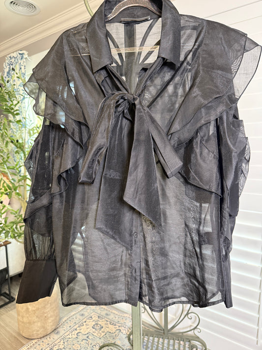 Decjuba Long Sleeve Sheer Blouse