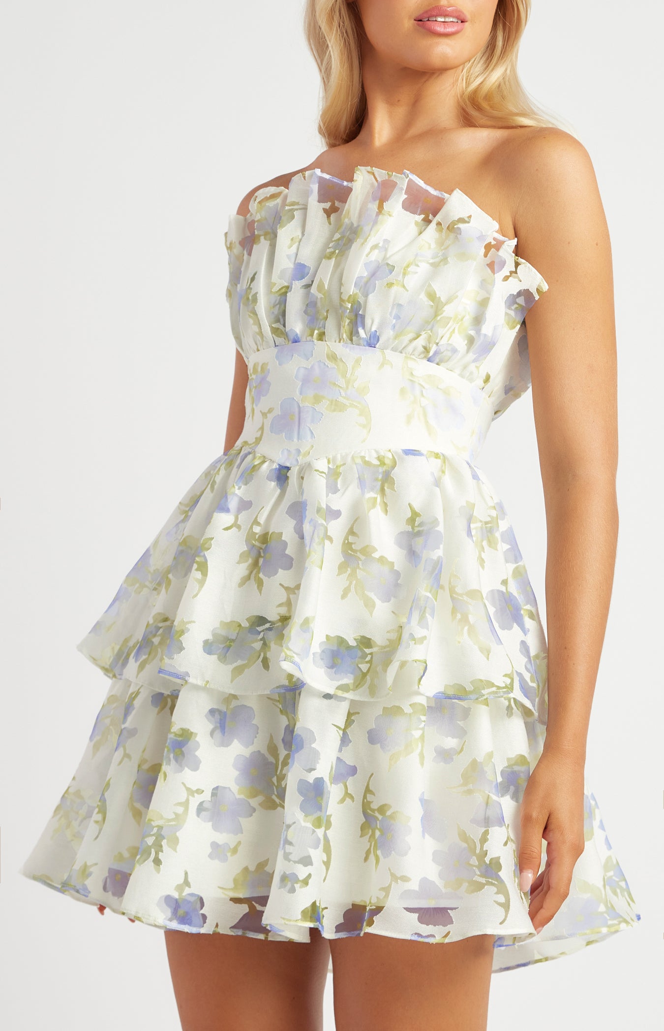 Lily Organza Mini Dress