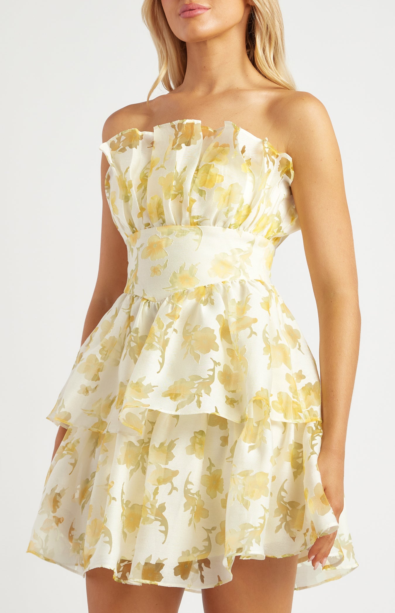 Lily Organza Mini Dress