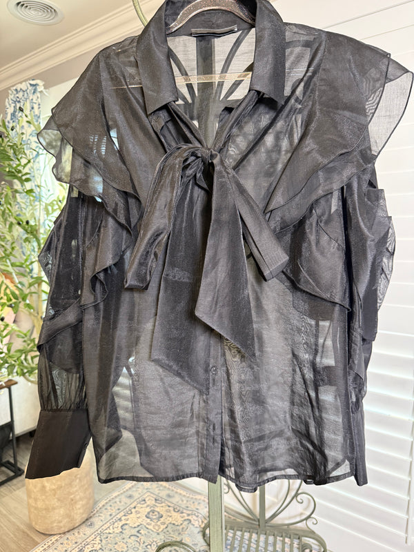 Decjuba Long Sleeve Sheer Blouse